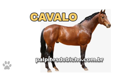 Palpites do Bicho Dia 05-09-2018