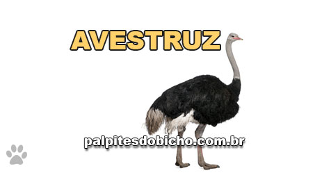Palpites do Bicho Dia 09-12-2018