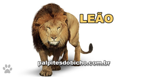 Palpites do Bicho Dia 11-05-2019