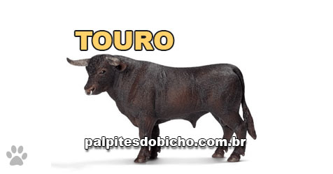 Palpites do Bicho Dia 05-06-2019