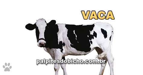 Palpites do Bicho Dia 25-09-2019