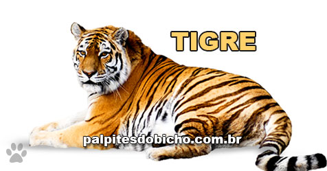 Palpites do Bicho Dia 22-11-2019