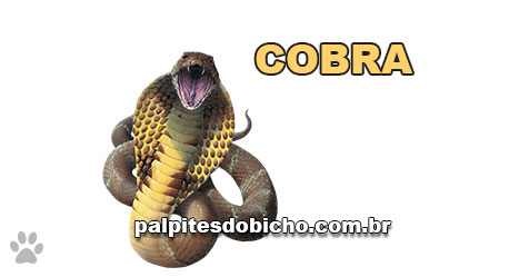 Palpites do Bicho Dia 09-03-2020