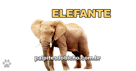 Palpites do Bicho Dia 05/06/2020 Tarde