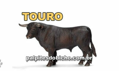 Palpites do Bicho Dia 17/07/2020 Tarde