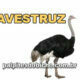 Palpites do Bicho Dia 26-07-2020