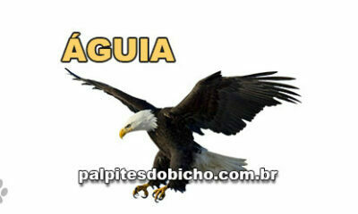 Palpites do Jogo do Bicho Dia 01/09/2020 Tarde