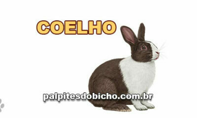 Palpites do Jogo do Bicho Dia 03/10/2020 Noite