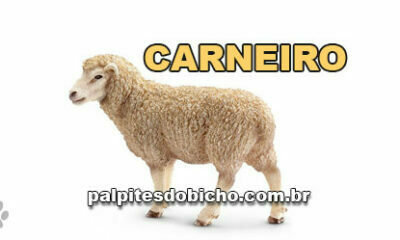 Palpites do Jogo do Bicho Dia 07-10-2020