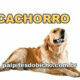 Palpites do Jogo do Bicho Dia 14/10/2020 Noite