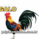 Palpites do Jogo do Bicho Dia 02/11/2020 Tarde