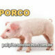 Palpites do Jogo do Bicho Dia 09/03/2021 Tarde