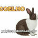 Palpites do Jogo do Bicho Dia 10-03-2021