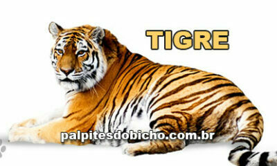 Palpites do Jogo do Bicho Dia 05/04/2021 Noite