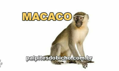 Palpites do Jogo do Bicho Dia 06/04/2021 Noite