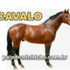 Palpites do Jogo do Bicho Dia 11-09-2021