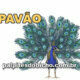 Palpites do Jogo do Bicho Dia 19-03-2022