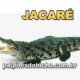 Palpites do Jogo do Bicho Dia 18/04/2022 Noite