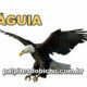 Palpites do Jogo do Bicho Dia 20/04/2022 Tarde