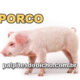 Palpites do Jogo do Bicho Dia 18-10-2022