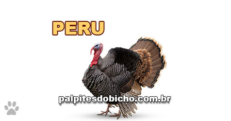 Palpites do Jogo do Bicho Dia 20-02-2023