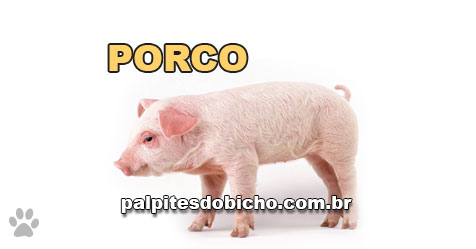 Palpites do Jogo do Bicho Dia 18-09-2023