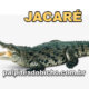Palpites do Jogo do Bicho Dia 09/04/2024 Tarde