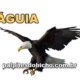 Palpites do Jogo do Bicho Dia 10/04/2024 Tarde