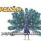 Palpites do Jogo do Bicho Dia 19-04-2024