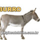 Palpites do Jogo do Bicho Dia 21/04/2024 Tarde