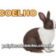 Palpites do Jogo do Bicho Dia 02/07/2024 Tarde
