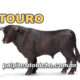 Palpites do Jogo do Bicho Dia 25/07/2024 Tarde