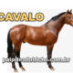 Palpites do Jogo do Bicho Dia 11-08-2024