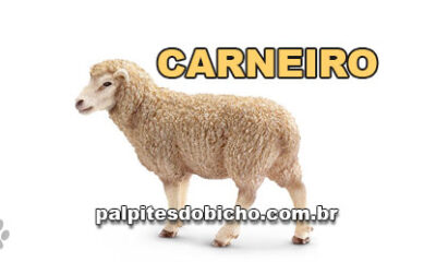 Palpites do Jogo do Bicho Dia 27-08-2024