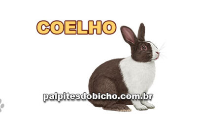 Palpites do Jogo do Bicho Dia 02/11/2024 Tarde