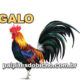 Palpites do Jogo do Bicho Dia 05/01/2025 Tarde