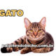Palpites do Jogo do Bicho Dia 04-02-2025