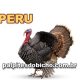 Palpites do Jogo do Bicho Dia 02/04/2025 Tarde