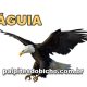 Palpites do Jogo do Bicho Dia 21/03/2025 Tarde