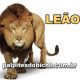 Palpites do Jogo do Bicho Dia 09/05/2025 Tarde