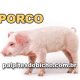 Palpites do Jogo do Bicho Dia 04/07/2025 Tarde