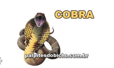 Palpites do Jogo do Bicho Dia 09-06-2025