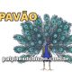 Palpites do Jogo do Bicho Dia 19-06-2025