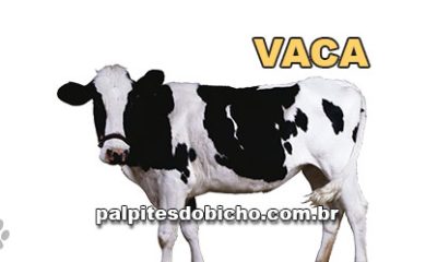 Palpites do Jogo do Bicho Dia 27-06-2025