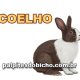 Palpites do Jogo do Bicho Dia 12/07/2025 Tarde