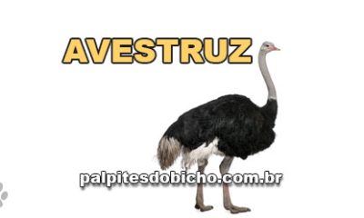 Palpites do Jogo do Bicho Dia 11/08/2025 Tarde