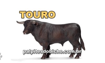Palpites do Jogo do Bicho Dia 12/08/2025 Tarde