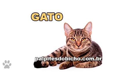 Palpites do Jogo do Bicho Dia 08/09/2025 Noite