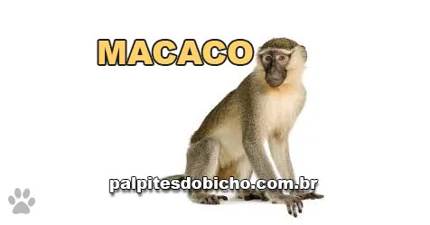 Palpites do Jogo do Bicho Dia 17-09-2025