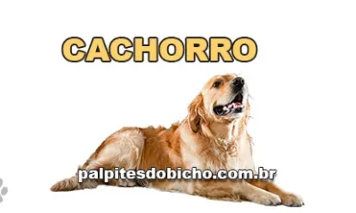 Palpite do dia do Jogo do Bicho de hoje 05/11/2025